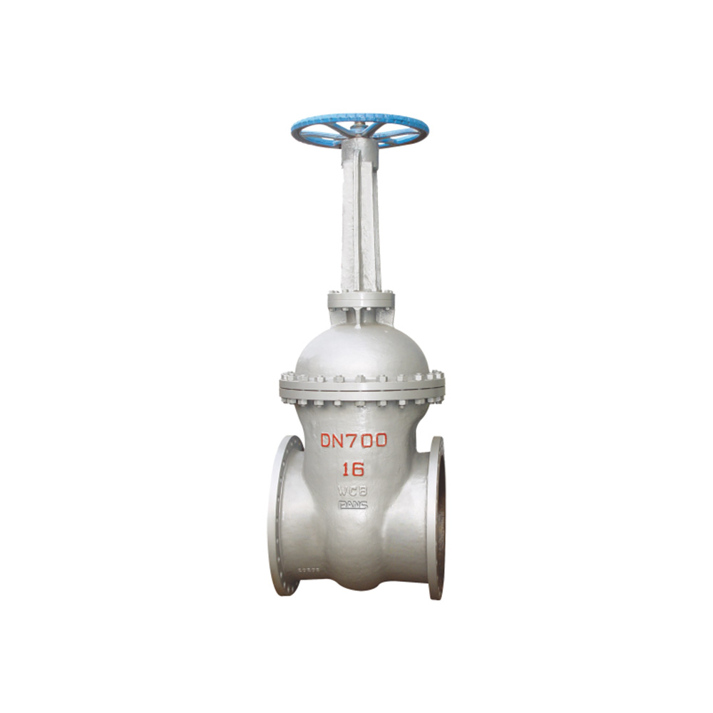 DIN Rising stem gate valve