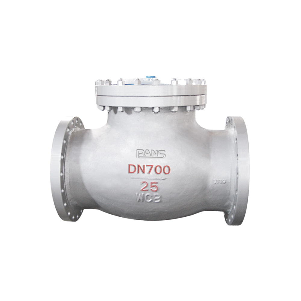 DIN swing check valve