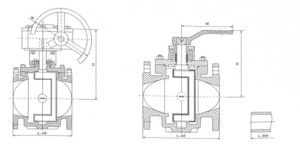 Dimensions of Eccentricity Plug Valve